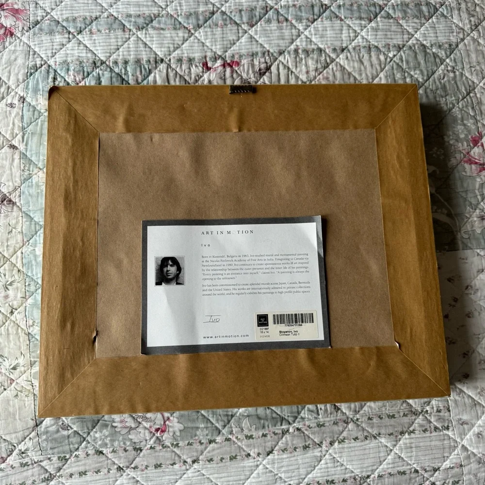 Art in Motion Ivo Stoyanov Framed Art Wall Print 16 X 14 Crimson Tulip - Picture 3 of 6